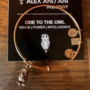 Alex and Ani Gold Owl Charm Bracelet